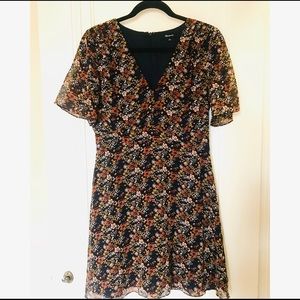 Madewell Floral Autumn Dress Fit and Flare Size 6